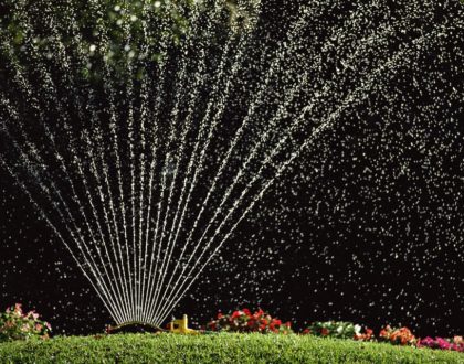 When Can I Stop Watering My Lawn in Fall?