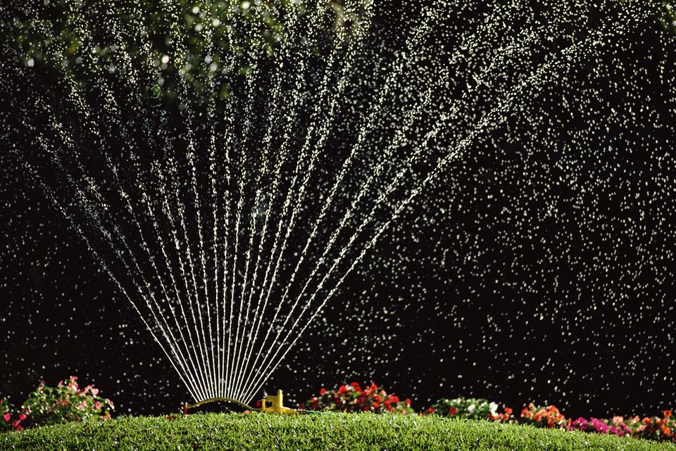 When Can I Stop Watering My Lawn in Fall?