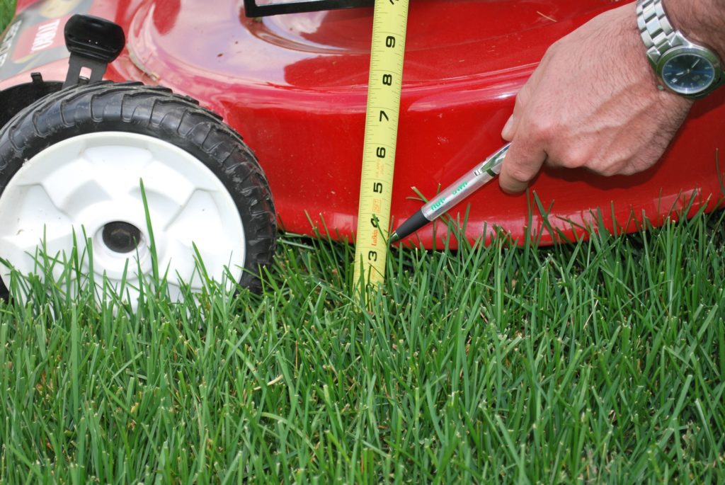 Lawn Mowing Tips