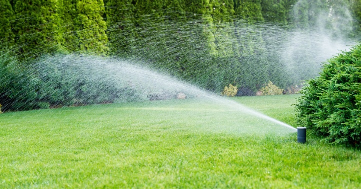 Lawn Watering Tips