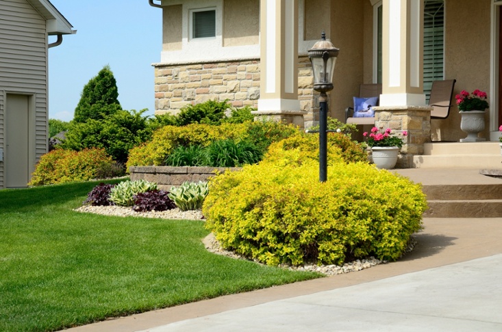 8 Landscape Staging Tips To Add Curb Appeal