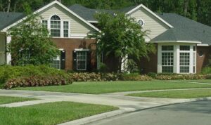 St. Augustine grass for Florida Lawns