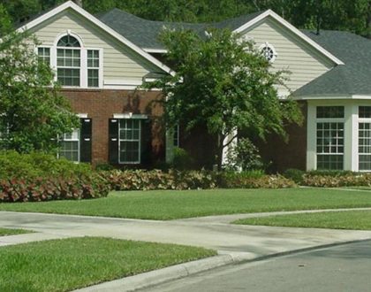 St. Augustinegrass for Florida Lawns