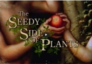 The Seedy Side of Plants (1999)